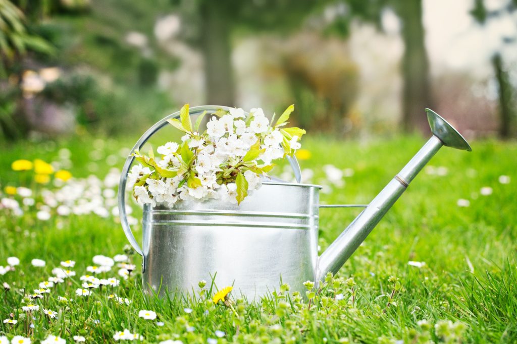 The Benefits of Gardening and Why You Should Sell Garden Plants