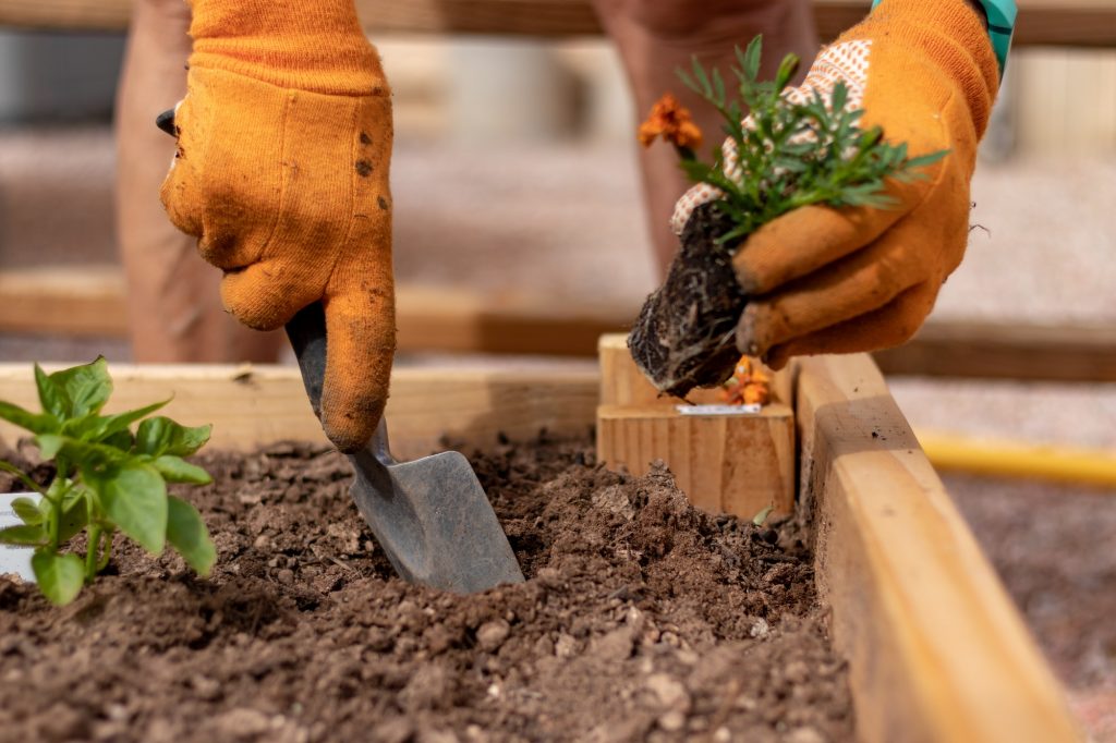 Choosing Garden Plants For Babies and Young Children