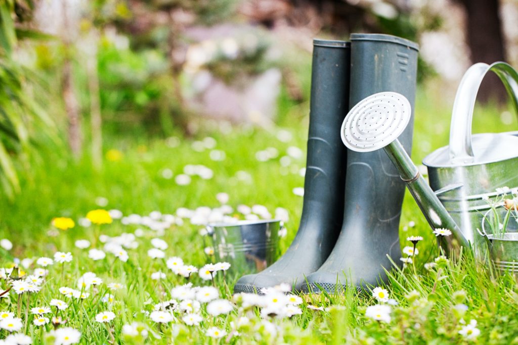 Garden Centre Ardcarne and Garden Centre Boyle: Green Havens in Ireland