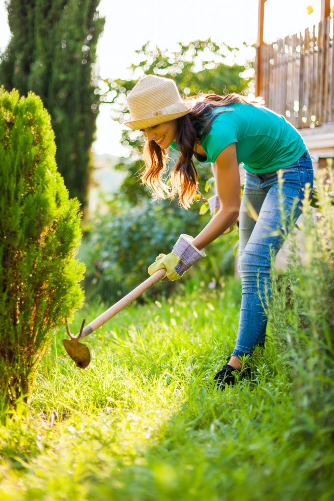 Choosing Landscaping Plants For Your Large Garden Centres